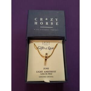Crazy Horse Liz Claiborne June Light Amethyst Genuine Crystal Pendant Necklace